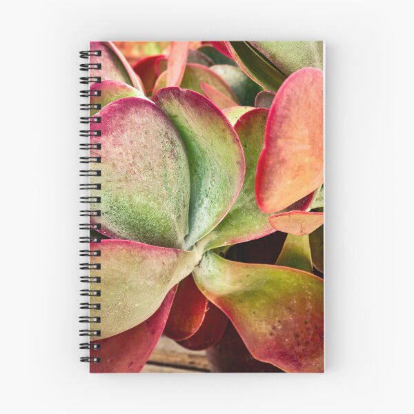 Item preview, Flapjack Plant Kalanchoe X102 designed and sold by RichFrancoCars.