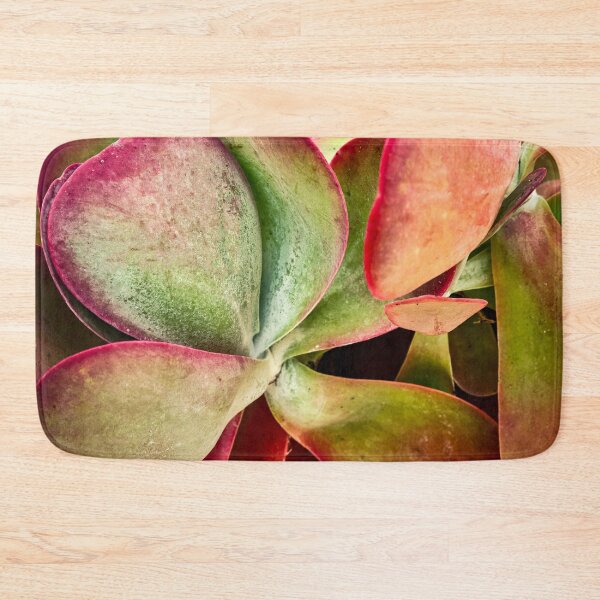 Item preview, Flapjack Plant Kalanchoe X102 designed and sold by RichFrancoCars.