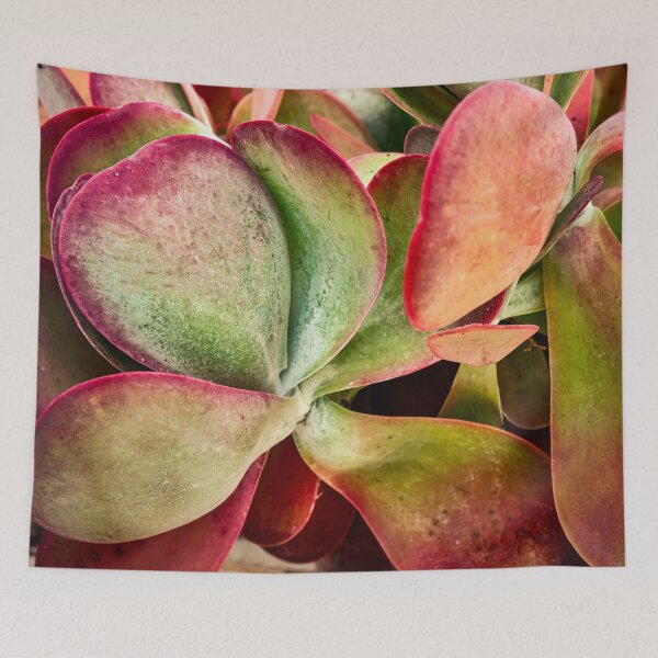 Item preview, Flapjack Plant Kalanchoe X102 designed and sold by RichFrancoCars.