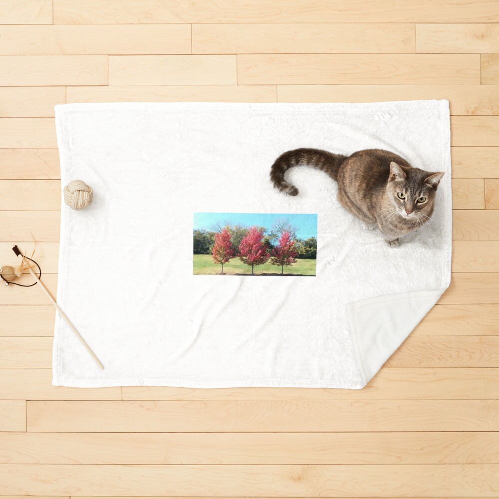 Item preview, Pet Blanket designed and sold by Made2Print.