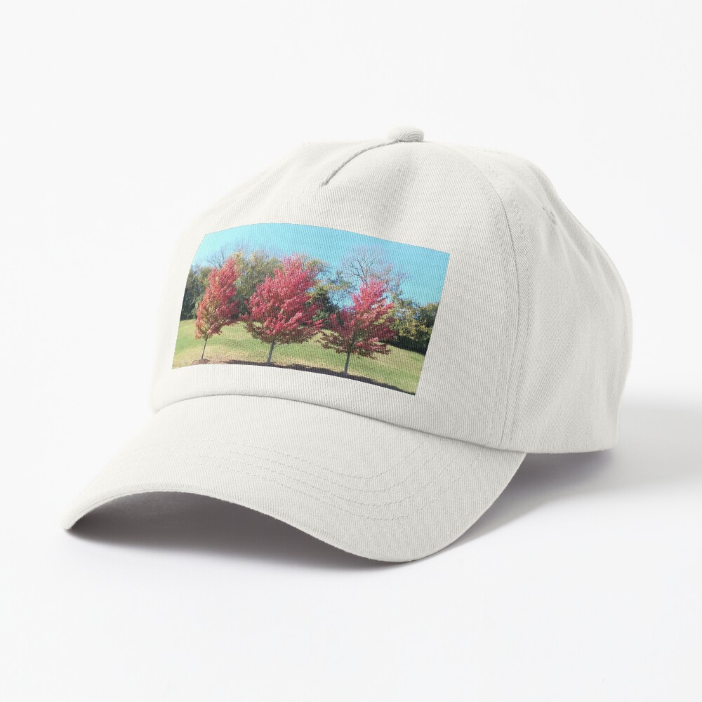Item preview, Dad Hat designed and sold by Made2Print.