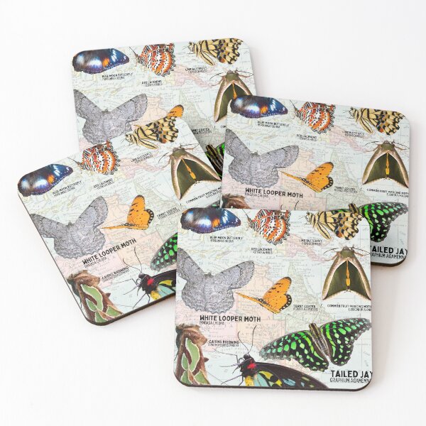 Item preview, Lepidoptera of Australia Scientific Diagram Vintage Map Poster designed and sold by wesleykshaver.