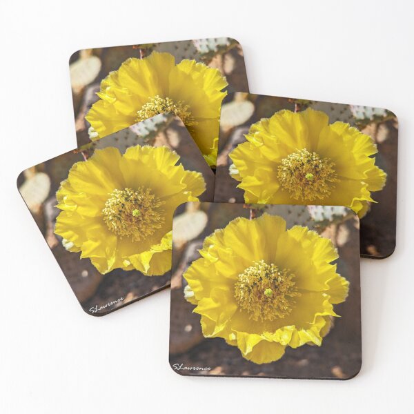 Item preview, Yellow Cactus Flower designed and sold by RocDrAdventures.