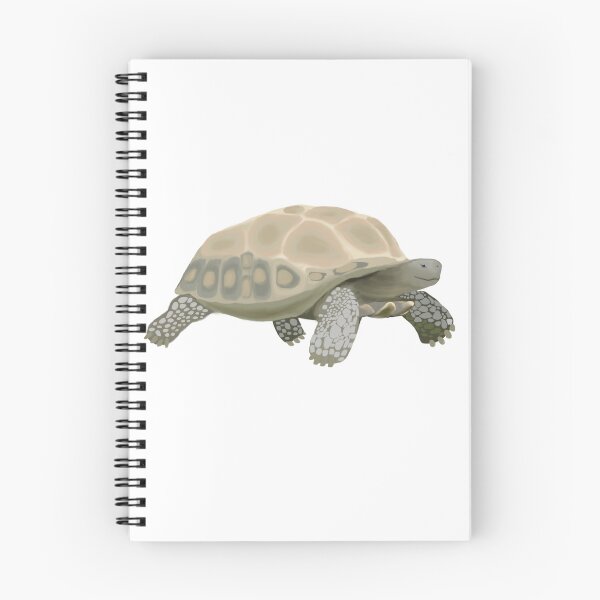 Item preview, Sulcata Tortoise designed and sold by hollyporshaa.
