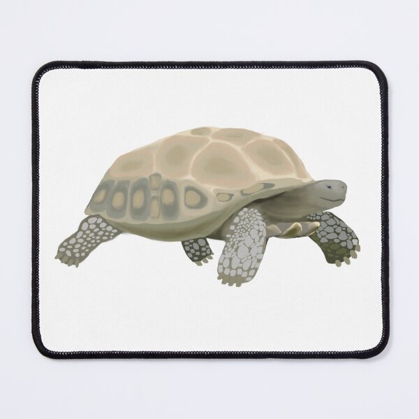 Item preview, Sulcata Tortoise designed and sold by hollyporshaa.