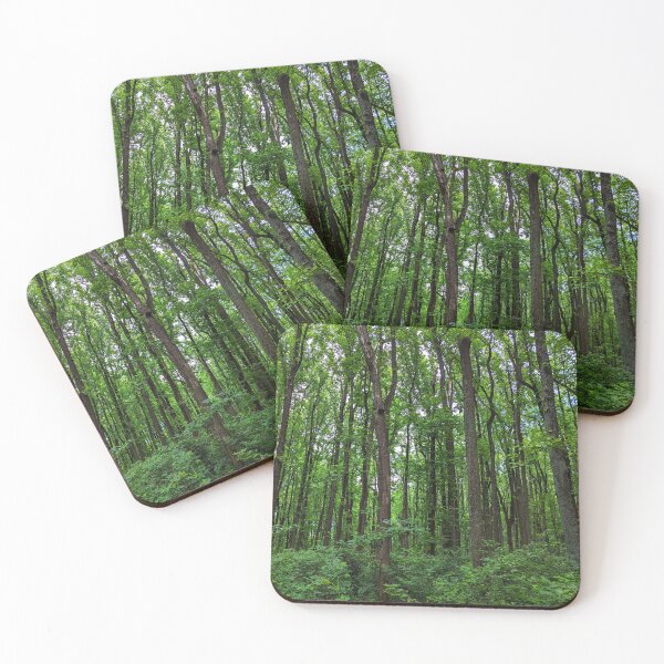 Item preview, Lush Forest designed and sold by RocDrAdventures.