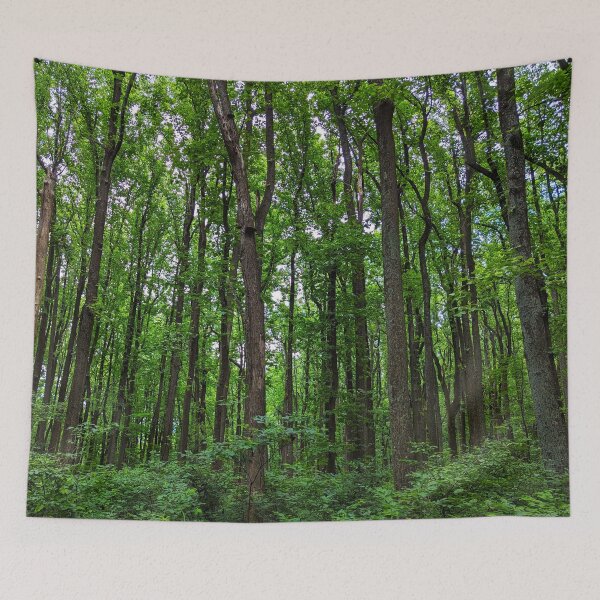 Item preview, Lush Forest designed and sold by RocDrAdventures.