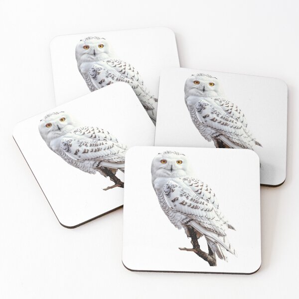 Item preview, owl designed and sold by Stickermagician.