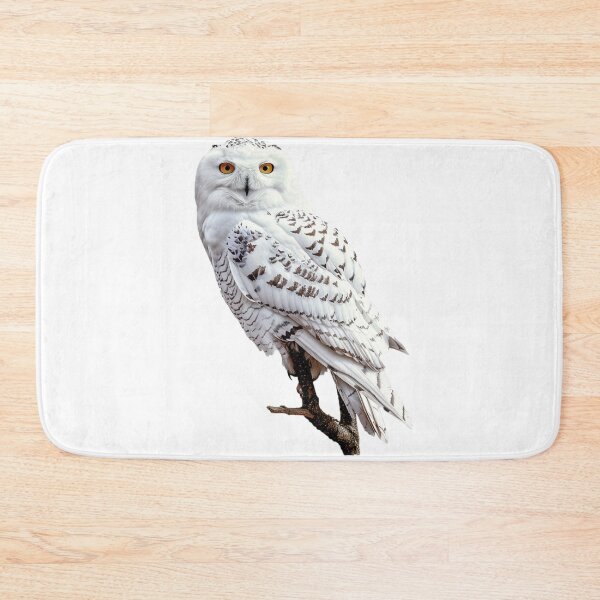 Item preview, owl designed and sold by Stickermagician.
