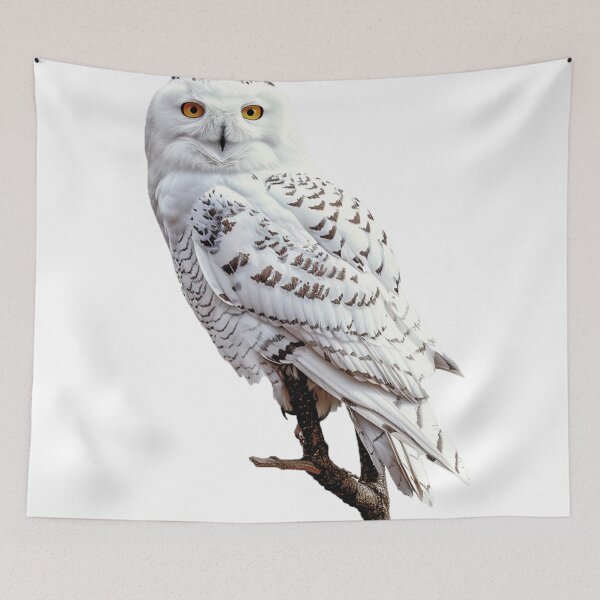 Item preview, owl designed and sold by Stickermagician.