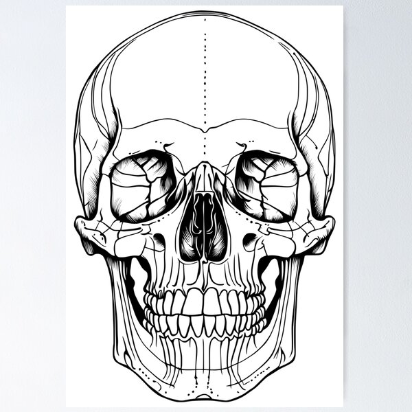 Item preview, Skull designed and sold by rheyes.