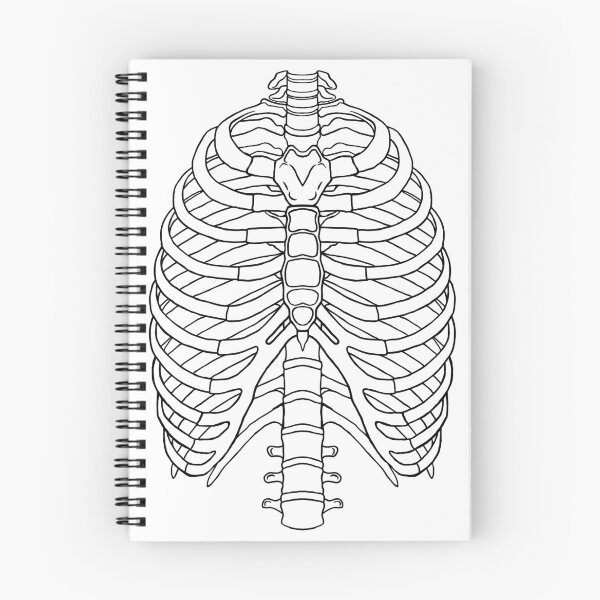 Item preview, Ribs designed and sold by rheyes.