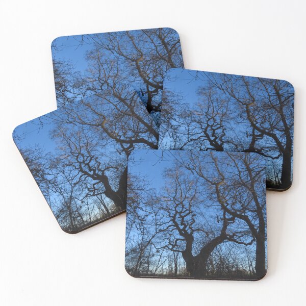 Item preview, Twisted Oak Tree designed and sold by wiggyofipswich.