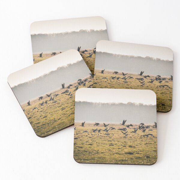 Item preview, Geese on the meadow designed and sold by ms-rock-shots.