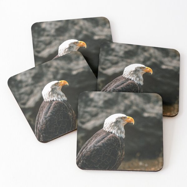 Item preview, Bald Headed Eagle, close up shot with blurred background designed and sold by Velvet Photos.