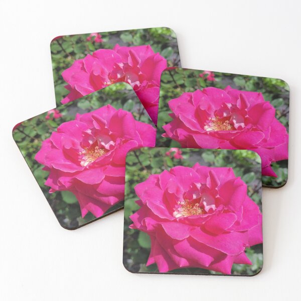 Item preview, Vibrant Pink Rose in Full Bloom – Nature’s Elegance designed and sold by World-Shop25.