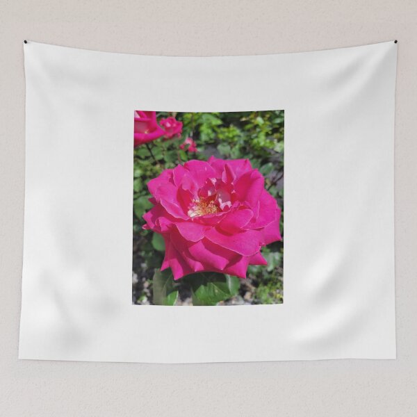 Item preview, Vibrant Pink Rose in Full Bloom – Nature’s Elegance designed and sold by World-Shop25.