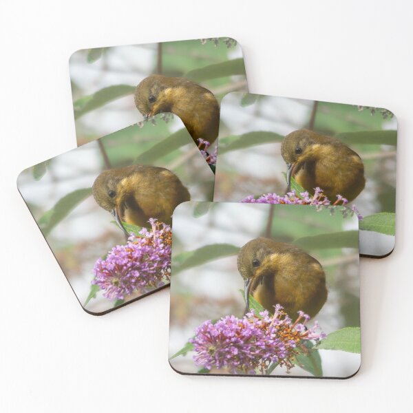 Item preview, Eastern Spinebill designed and sold by DeborahMcGrath.