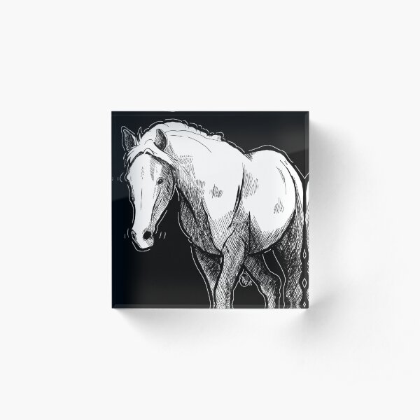 Equine Crosshatch Acrylic Block