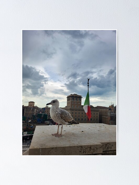 Thumbnail 1 of 3, Poster, Seagull's View Over Rome designed and sold by World-Shop25.