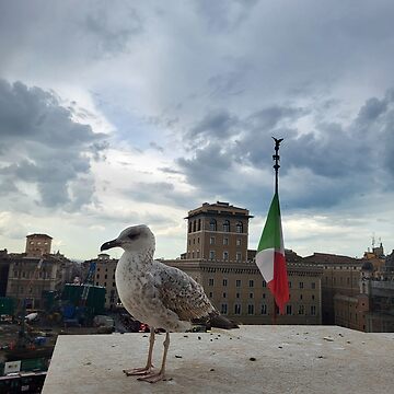 Artwork thumbnail, Seagull's View Over Rome by World-Shop25
