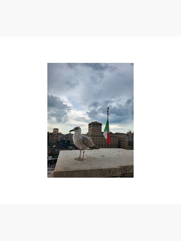 Thumbnail 5 of 5, Socks, Seagull's View Over Rome designed and sold by World-Shop25.