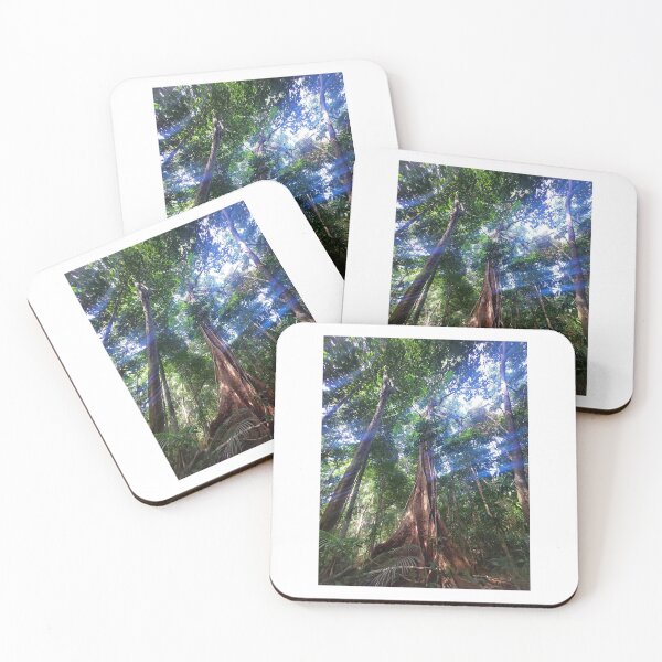 Item preview, Light through the Rainforest Trees designed and sold by cwilliams996.