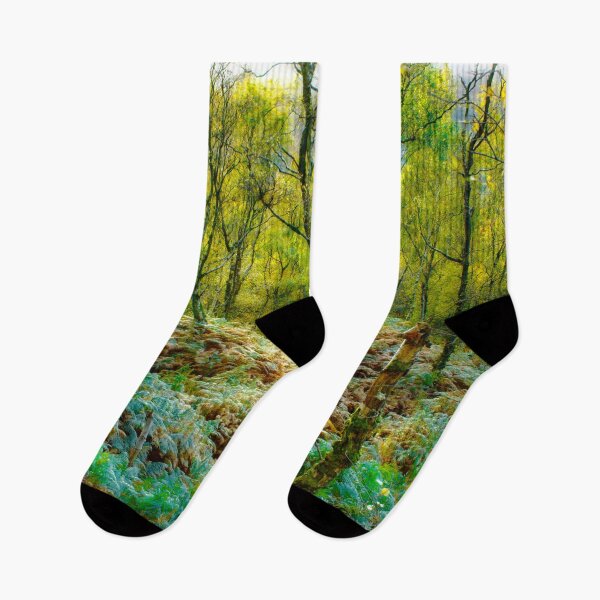 Item preview, Bolehill Quarry Woods designed and sold by Alisonchambers2.