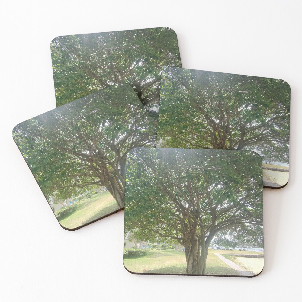 Item preview, Coasters (Set of 4) designed and sold by LJSliw.