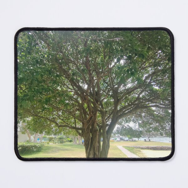 Item preview, Tree designed and sold by LJSliw.