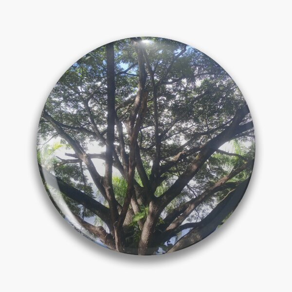 Item preview, The grove designed and sold by Nel1970.