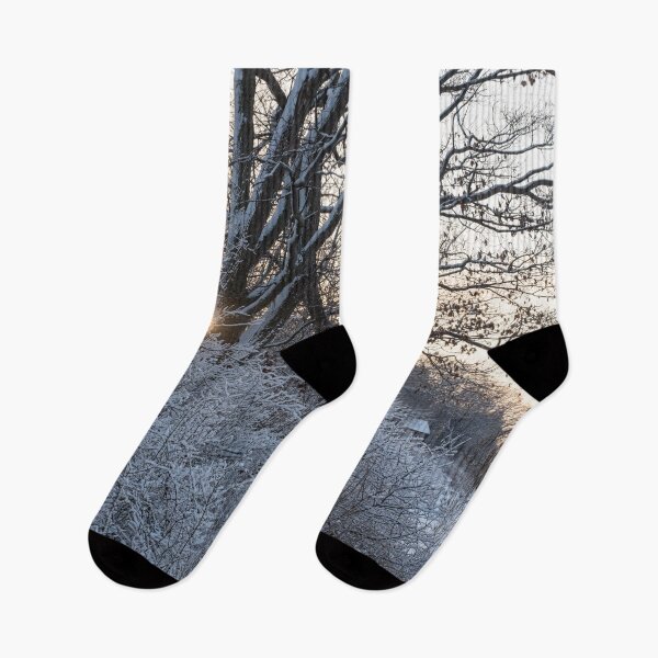 Item preview, Forest Bathing in the Snowy Stillness designed and sold by Georgia Mizuleva.