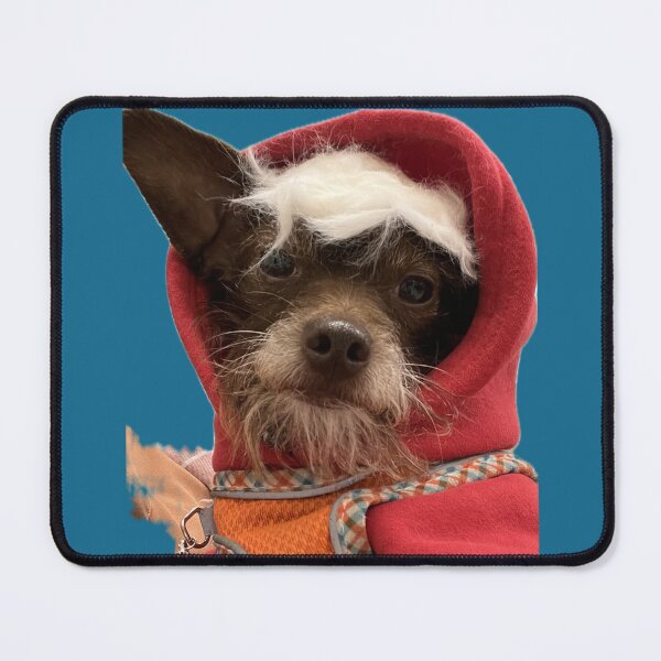 Item preview, Dog fuck boy Tinder profile designed and sold by Cellar Door 314 .