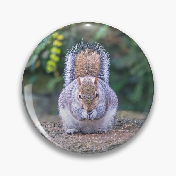 Item preview, Squirrel Eating a Nut designed and sold by ADCImages.