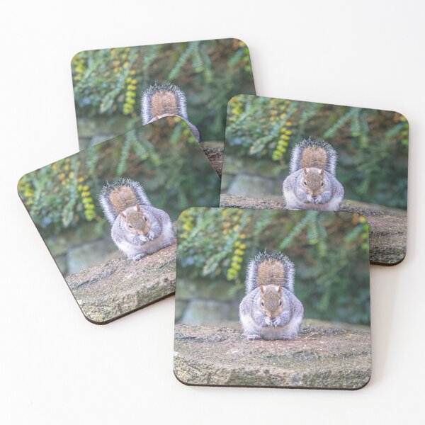Item preview, Squirrel Eating a Nut designed and sold by ADCImages.