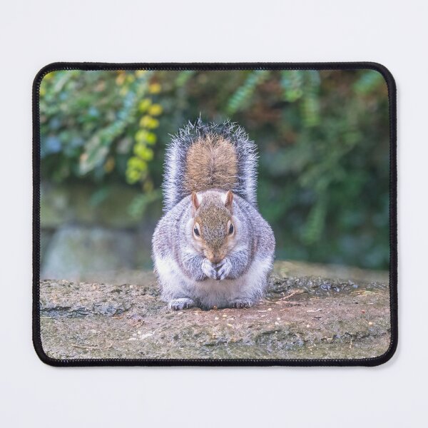 Item preview, Squirrel Eating a Nut designed and sold by ADCImages.