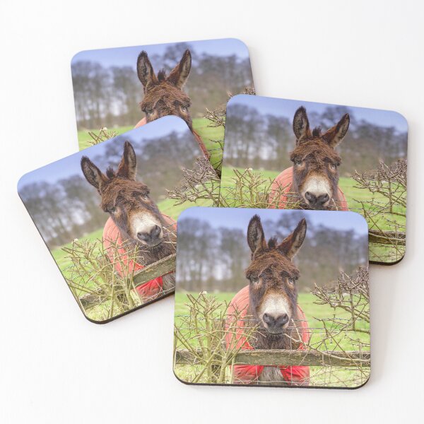 Item preview, Friendly Donkey Looking Over a Fence designed and sold by ADCImages.