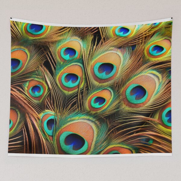 Item preview, Peacock feather plumage designed and sold by dbandaraj.