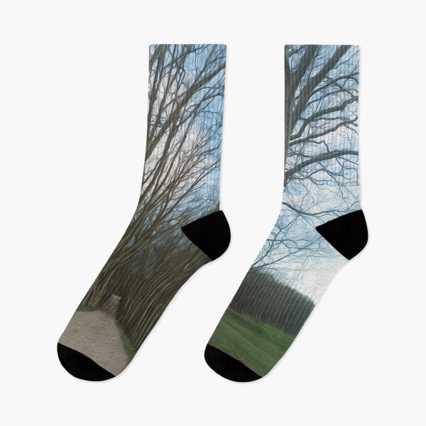 Item preview, Avenue of old trees in winter designed and sold by Leuil.