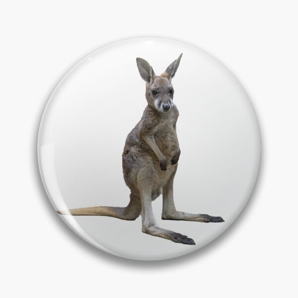 Item preview, Crue the Baby Kangaroo designed and sold by WestmeisterFarm.