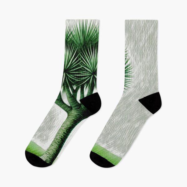 Item preview, From the Garden: Dracaena draco L. Dragon tree#1 designed and sold by Helios Be. Lavsh.