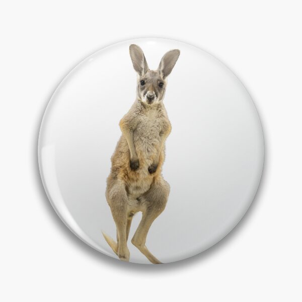 Item preview, Jovi the Baby Kangaroo designed and sold by WestmeisterFarm.