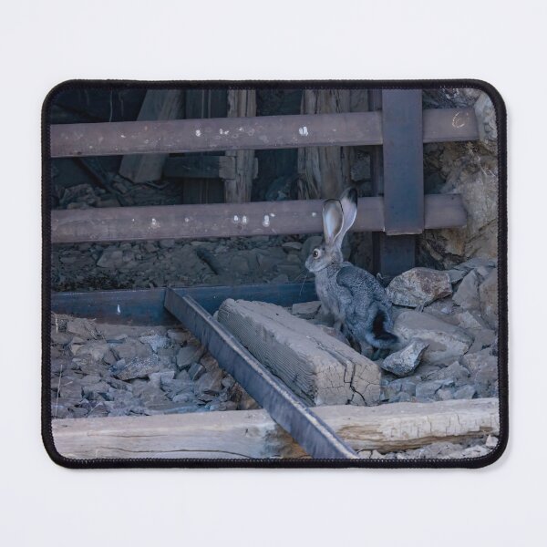 Item preview, Jackrabbit at Eureka Mine in Death Valley designed and sold by jrtwynam.