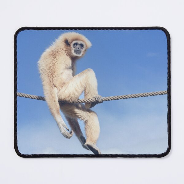 Item preview, Relaxed Gibbon Sitting on a Rope in the Sun designed and sold by rawshutterbug.