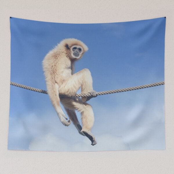 Item preview, Relaxed Gibbon Sitting on a Rope in the Sun designed and sold by rawshutterbug.