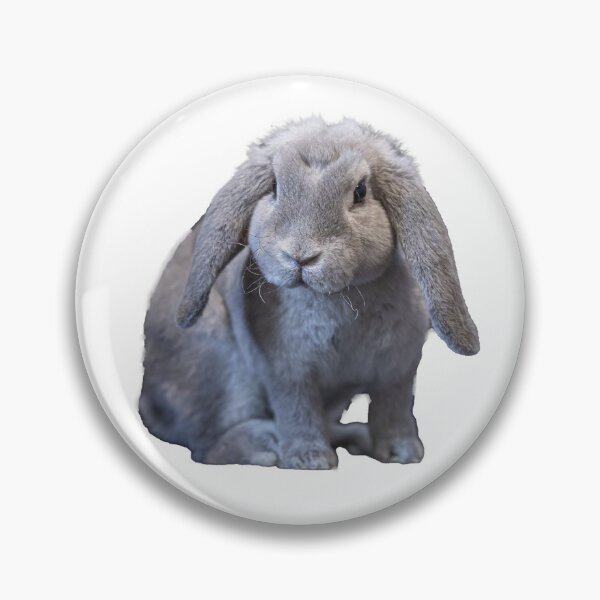 Artikelvorschau, Benjamin, das Mini-Lop-Kaninchen entworfen und verkauft von WestmeisterFarm.