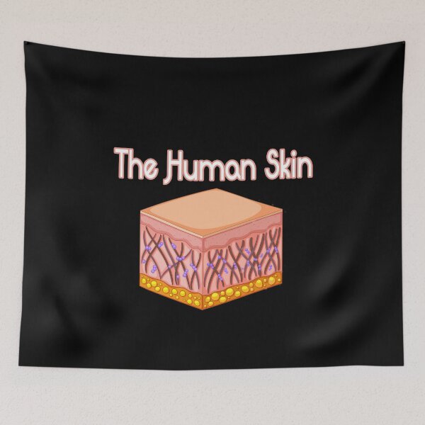Item preview, The Human Skin Science Teacher Layers of the Skin Epidermis designed and sold by spitzys.
