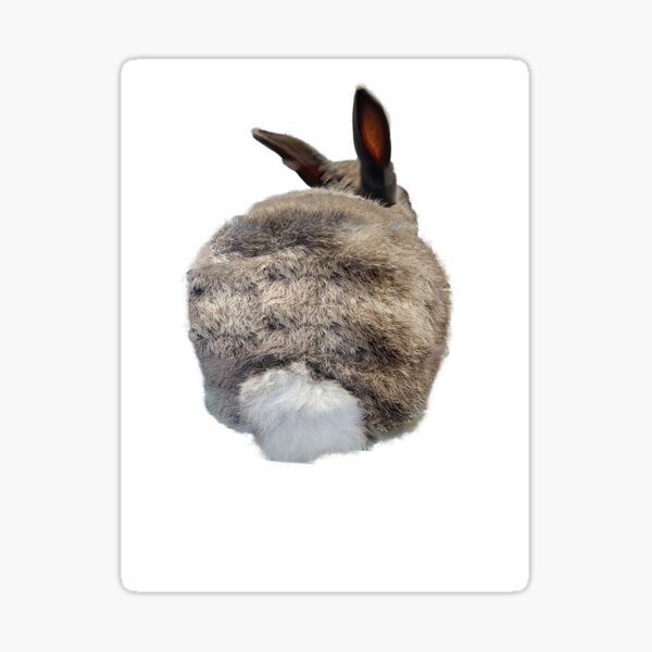 Item preview, Benjamin the Mini Lop Bunny Rabbit Butt designed and sold by WestmeisterFarm.