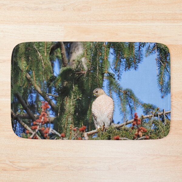 Item preview, Sharp Shinned Hawk Focused On Intruder Below designed and sold by Deb Oppermann.