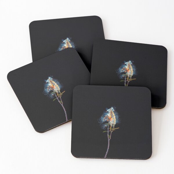 Item preview, Milkweed Flowers Seed Pods X101 designed and sold by RichFrancoCars.